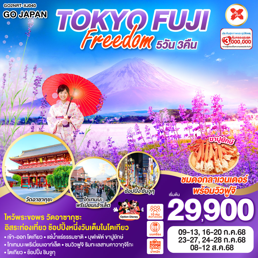 ทัวร์ญี่ปุ่น TOKYO FUJI FREEDOM 5วัน 3คืน (XJ)