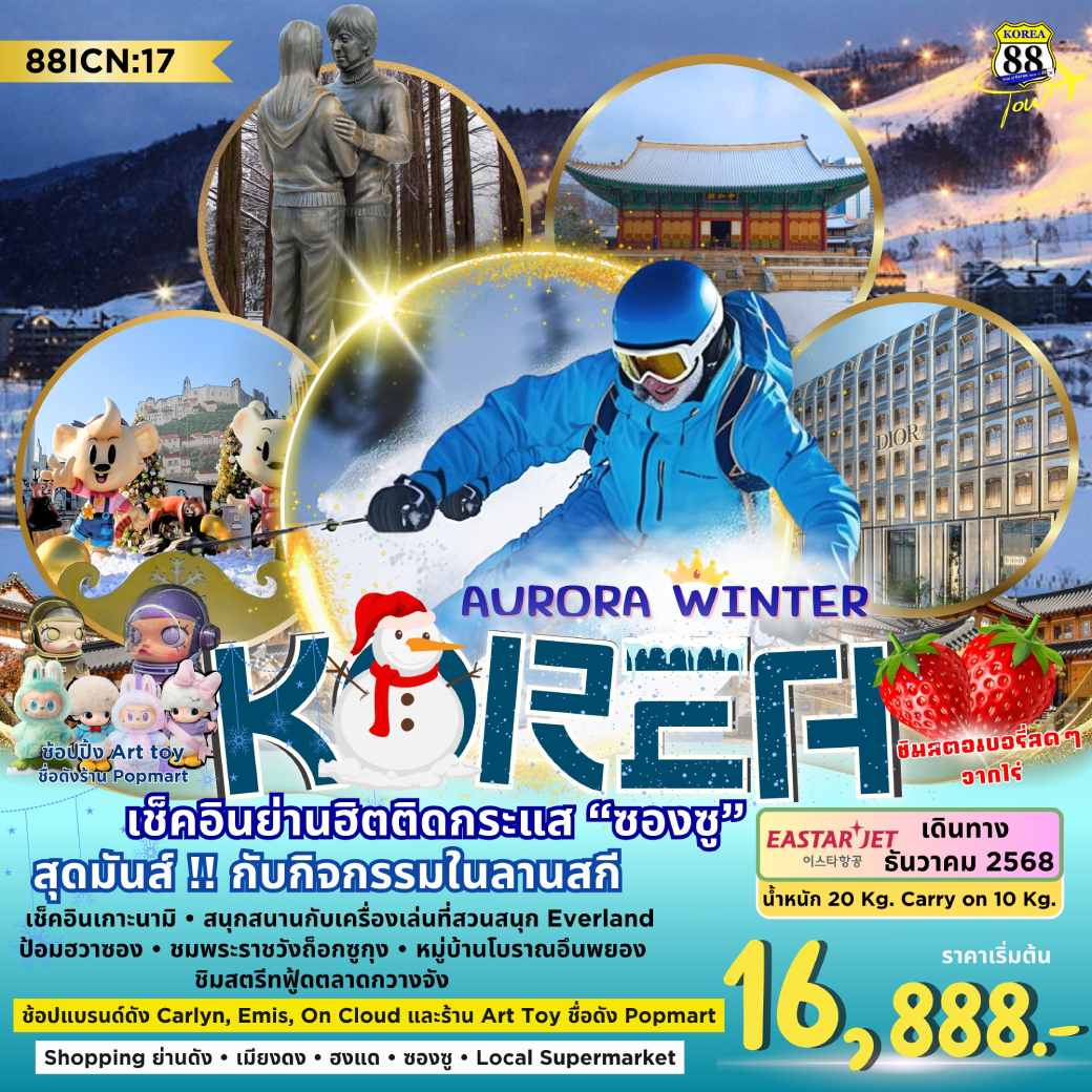 ทัวร์เกาหลี  Aurora Winter 5วัน 3คืน (ZE)