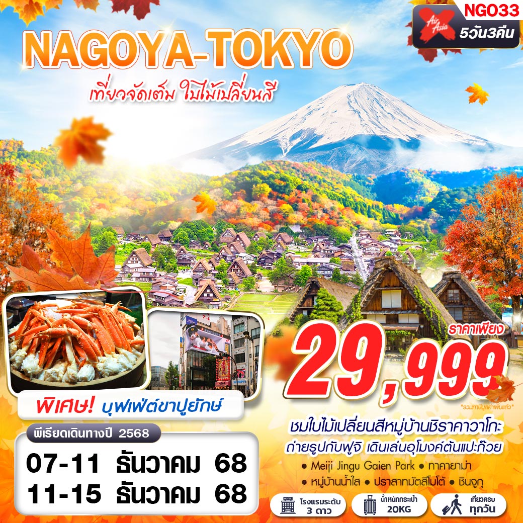 ทัวร์ญี่ปุ่น NAGOYA-TOKYO ใบไม้เปลี่ยนสี (บินดึก กลับสาย) 5วัน 3คืน (XJ)