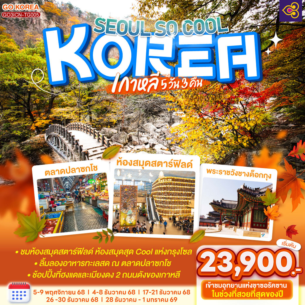 ทัวร์เกาหลี (KOREA) SEOUL SO COOL 5วัน 3คืน (TG)