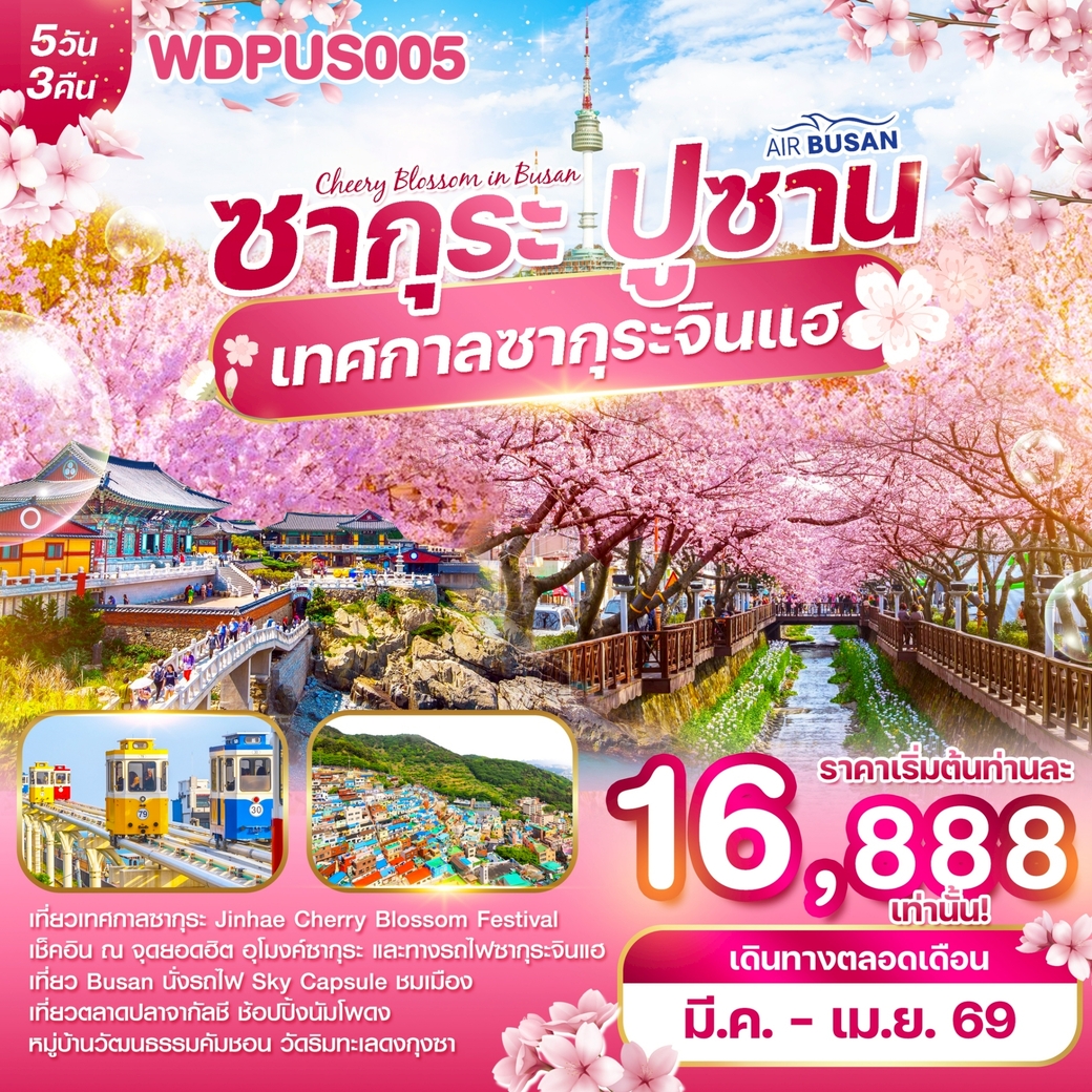 ทัวร์เกาหลี ปูซาน เทศกาลซากุระจินแฮ 2026 5วัน 3คืน (BX)