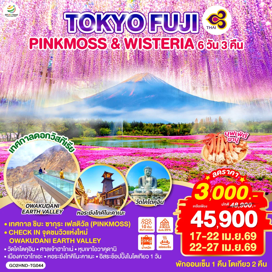 ทัวร์ญี่ปุ่น TOKYO FUJI PINKMOSS & WISTERIA 6วัน 3คืน (TG)
